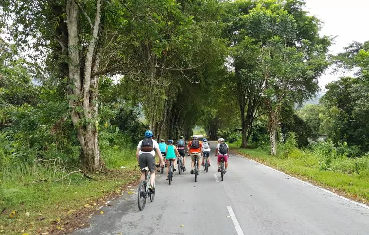 Borneo Outdoor Discovery: Orangutan, Off-Road Biking, & Caves